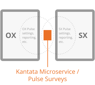The surveys were a shared component utilized by both platforms.
